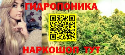 Альфа ПВП Рязань