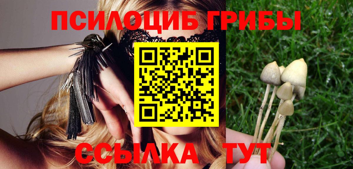 Псилоцибиновые грибы прущие грибы  Вход с VPN  Первоуральск 