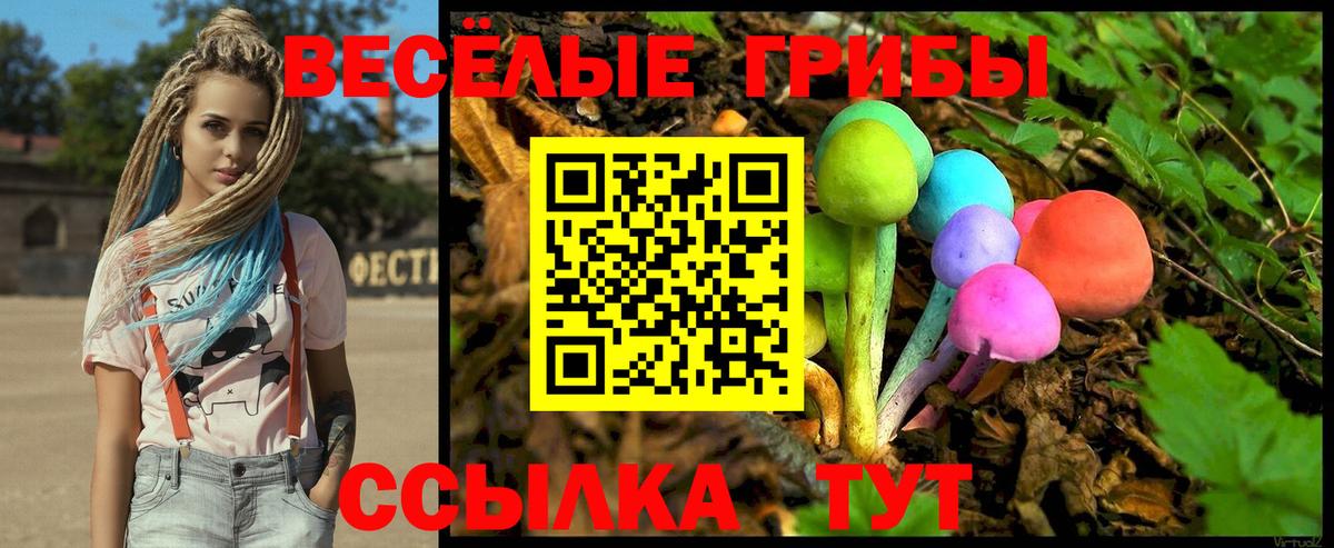 Псилоцибиновые грибы Psilocybe Первоуральск
